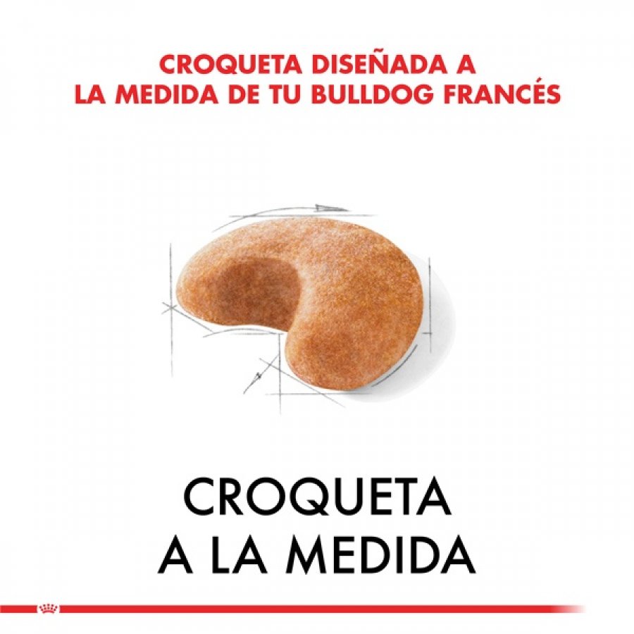 Royal Canin adulto Bulldog Frances alimento para perro, , large image number null