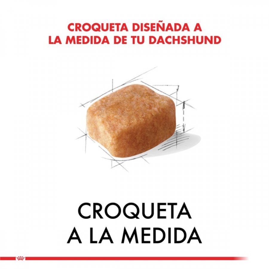 Royal Canin adulto Dachshund alimento para perro, , large image number null