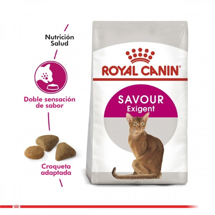 Royal Canin adulto Exigent alimento para gato
