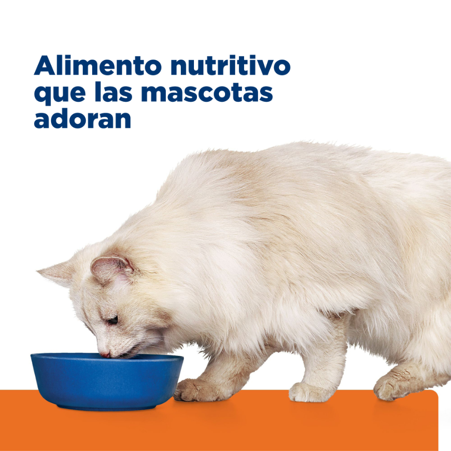 Hills Feline C/D Multicare Stress alimento para gato, , large image number null