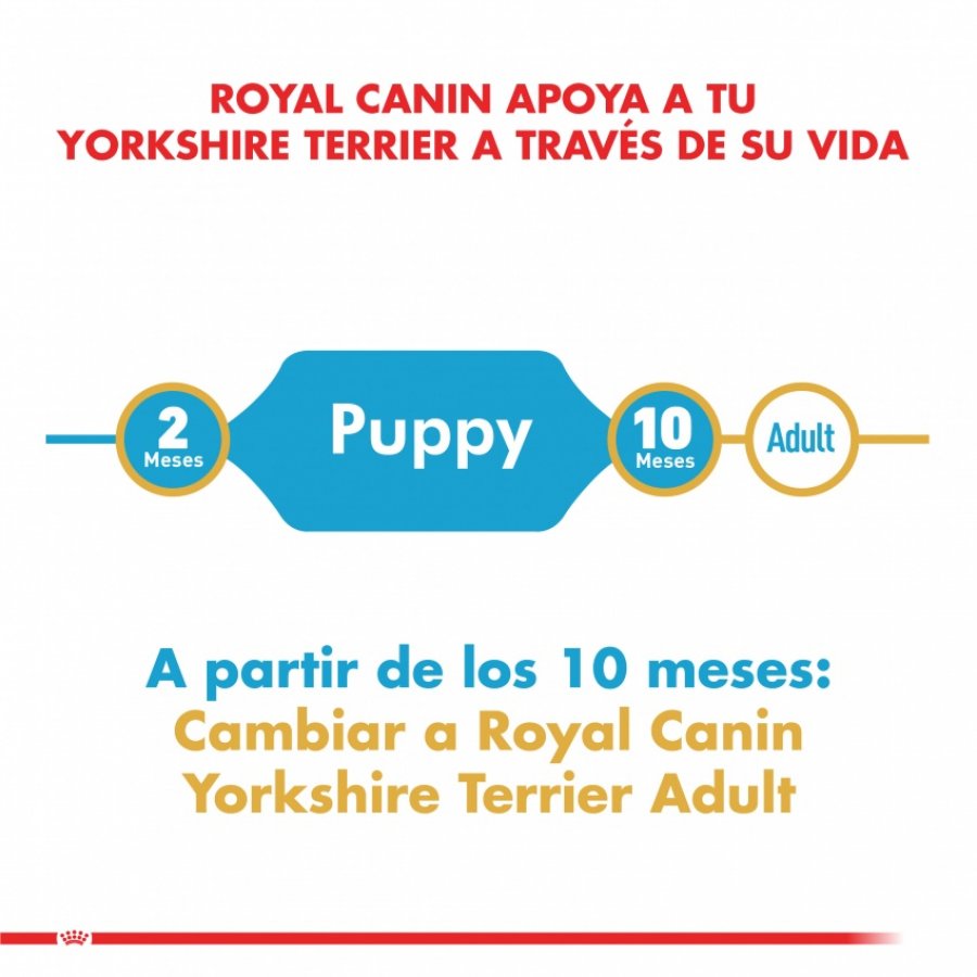 Royal Canin Cachorro Yorkshire Terrier Junior alimento para perro, , large image number null