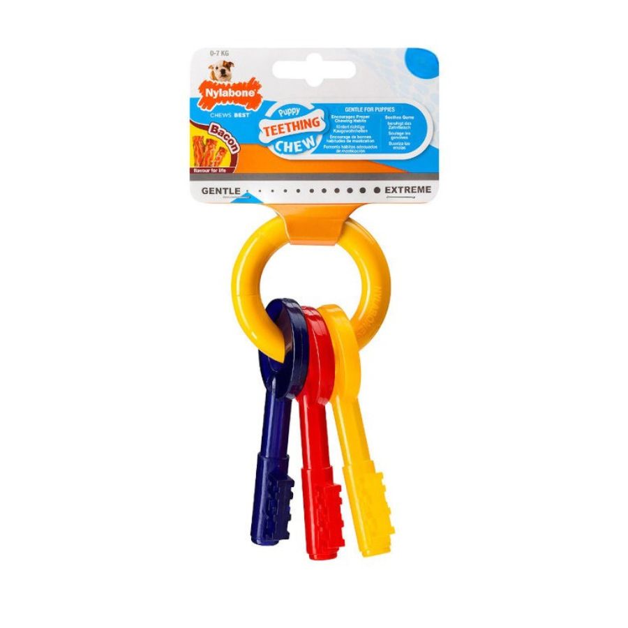 Llave para la dentición del cachorro
