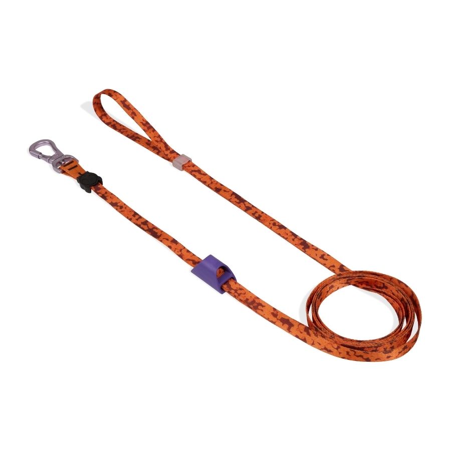 Long leash leopard