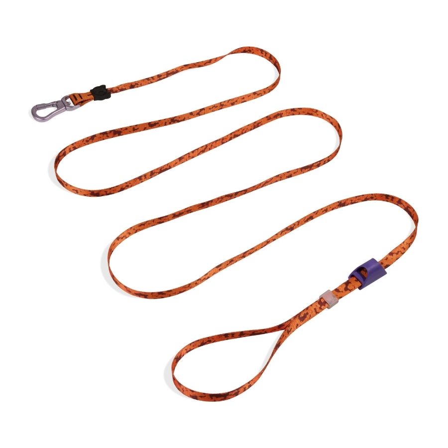 Long leash leopard, , large image number null