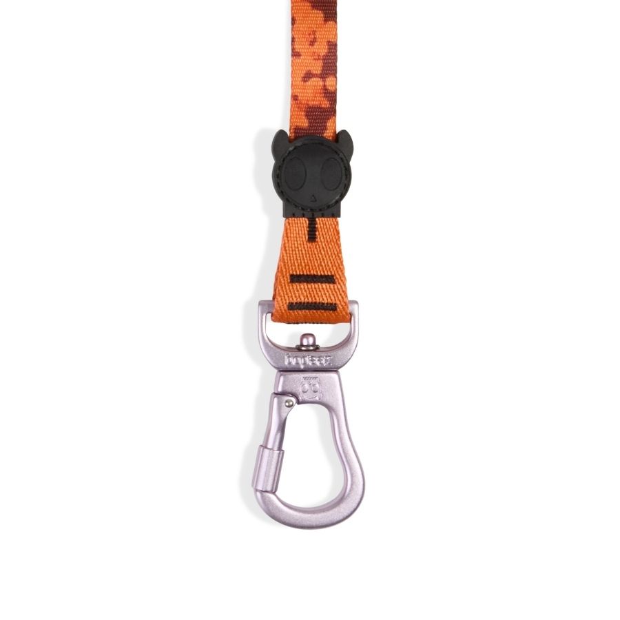 Long leash leopard, , large image number null