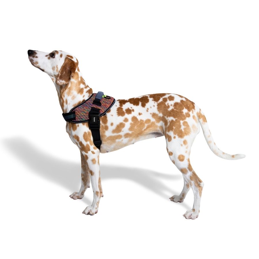 Vortex flyharness, , large image number null