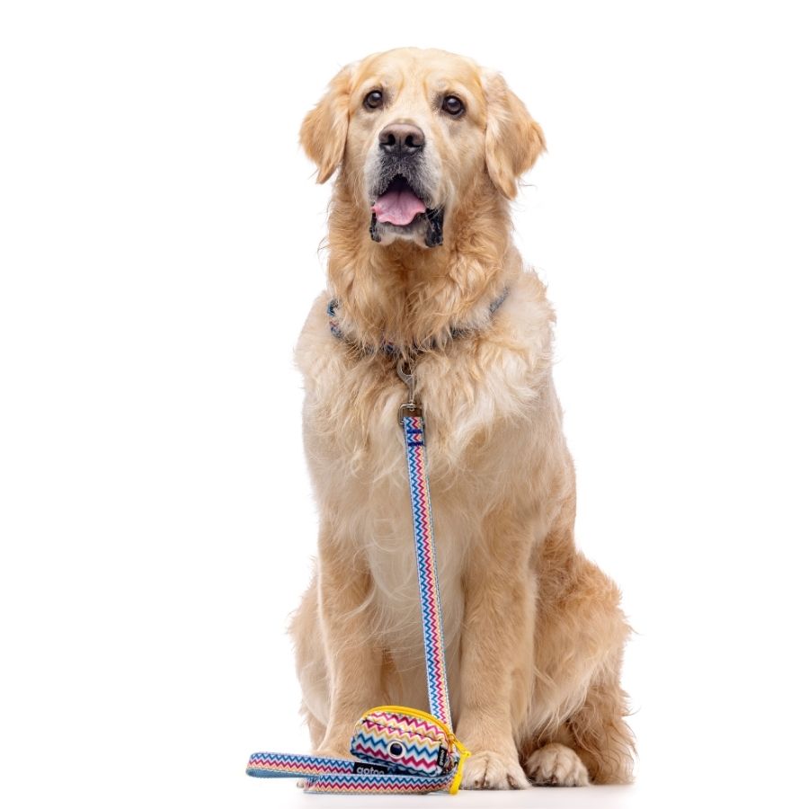 Porta bolsas con diseño de zig-zag multicolor, , large image number null