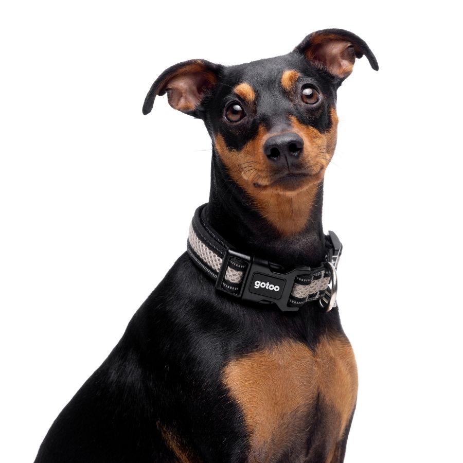 Collar gris reflectante de malla para perros, , large image number null