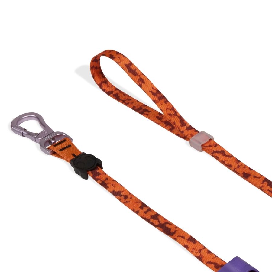Long leash leopard, , large image number null