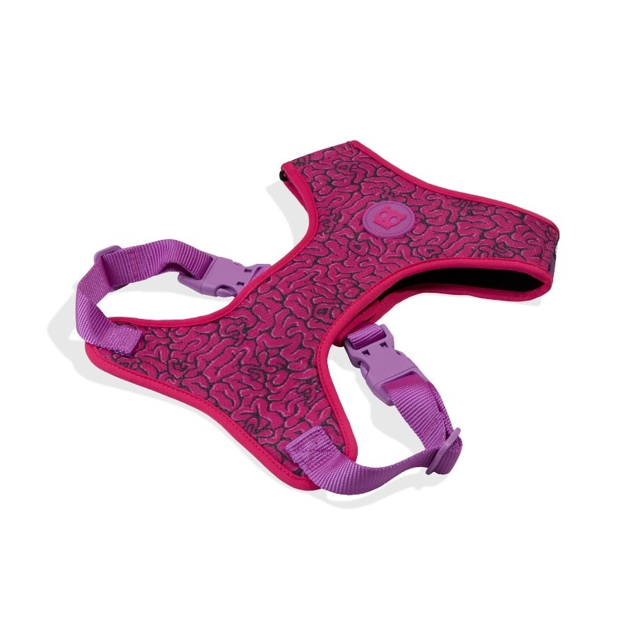 Lords of zee.town brain air mesh harness, , large image number null