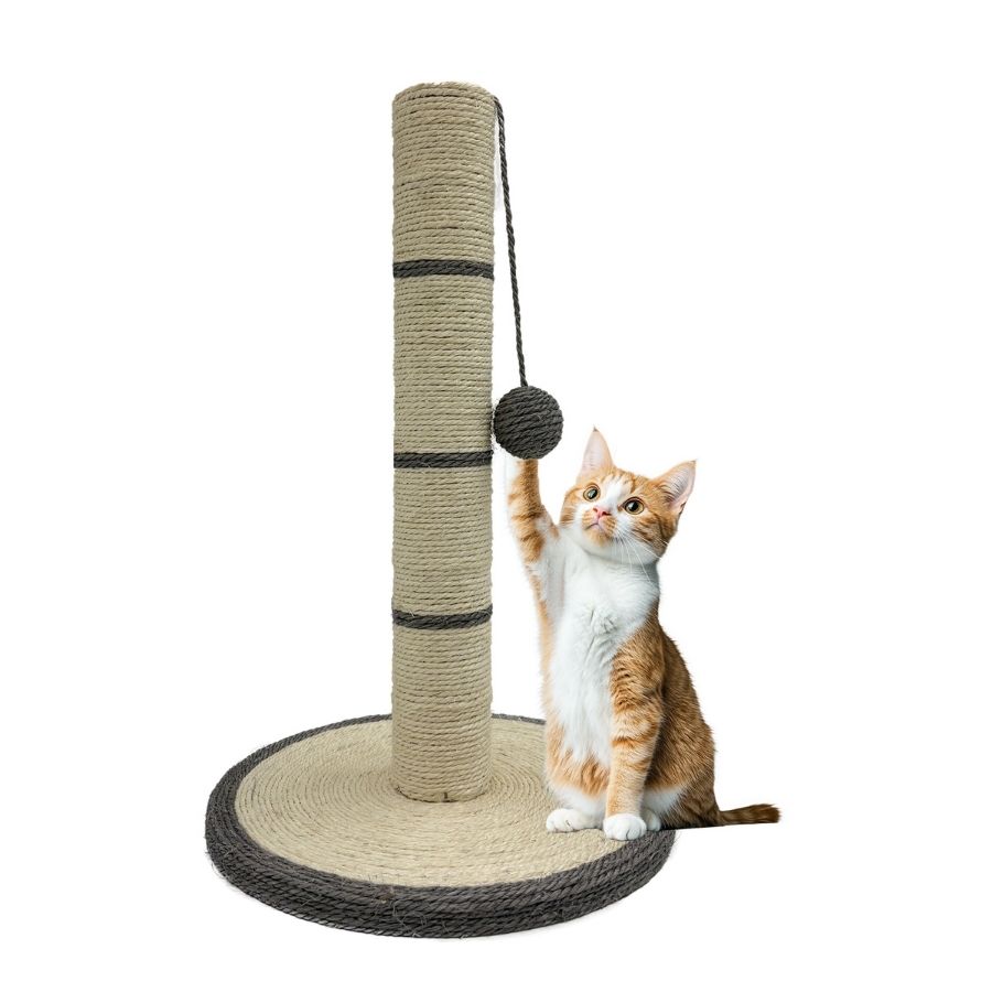 Isidoro poste de sisal con juguete, , large image number null