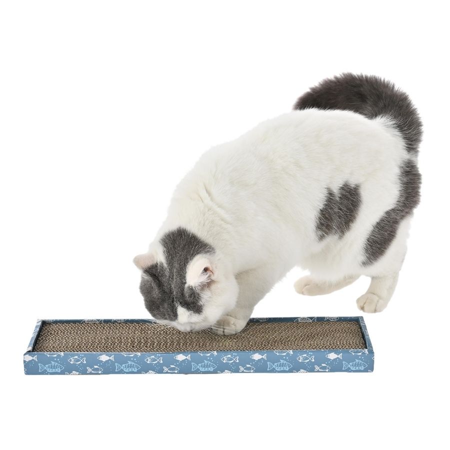 Fitz flattie rascador de cartón, , large image number null