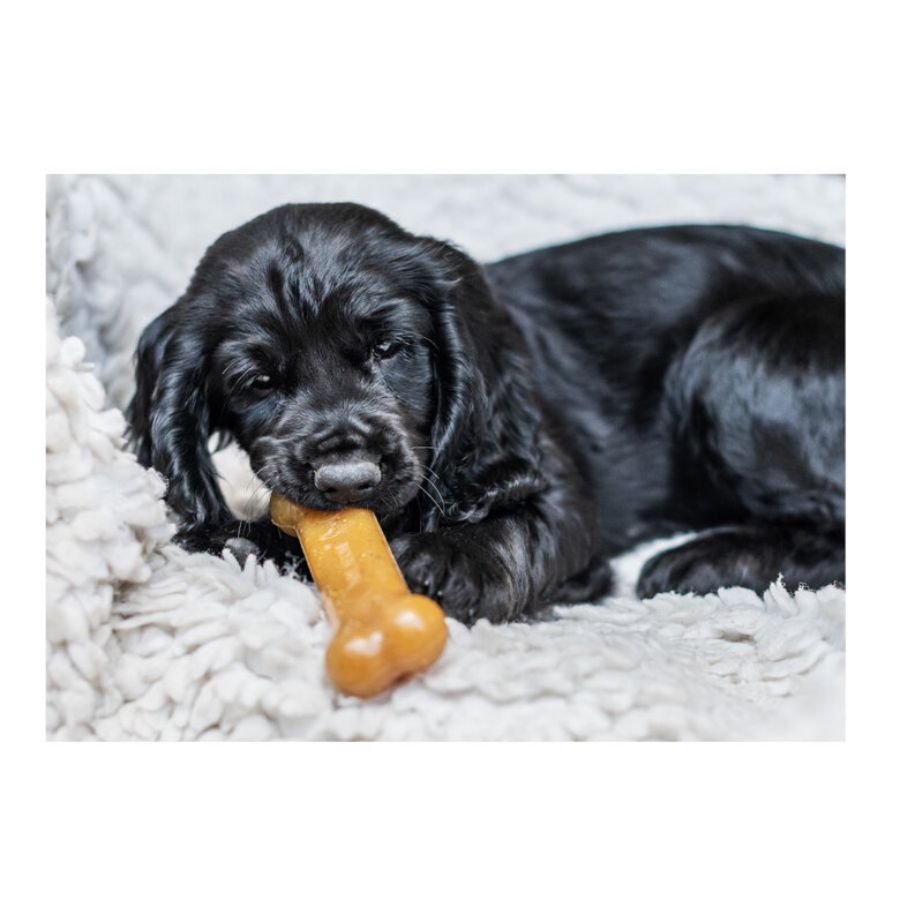 Hueso para cachorro de pollo Talla S, , large image number null