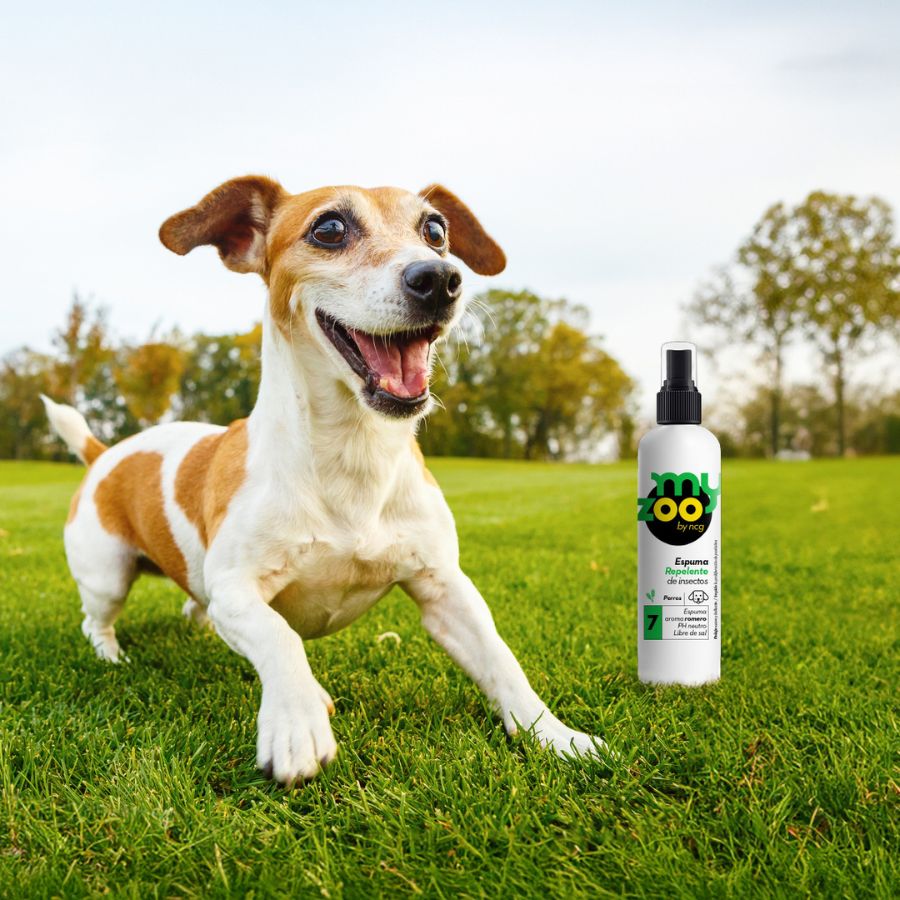 My Zoo Espuma Repelente Insectos Perros 250CC, , large image number null