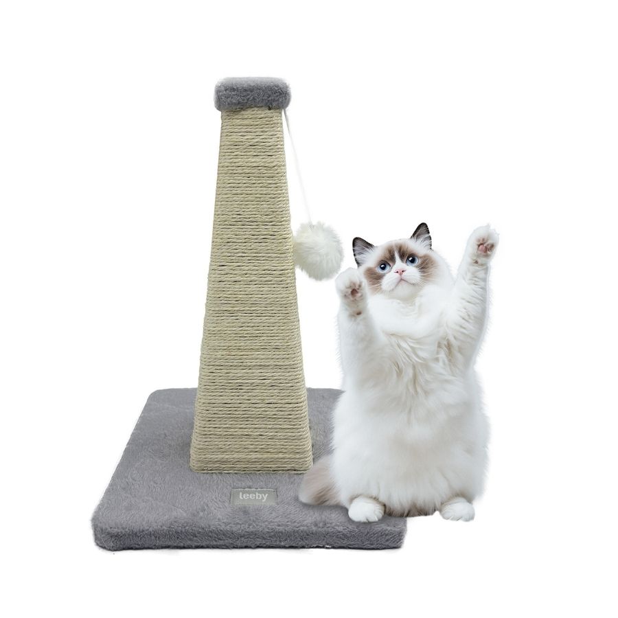 Katya poste piramide gatito, , large image number null