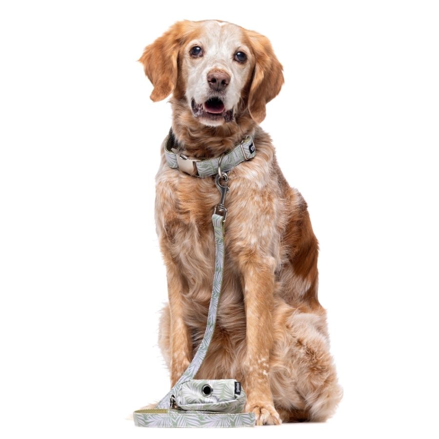 Porta bolsas con diseño Botanic, , large image number null