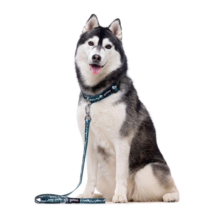 Correa con estampado de montañas para perros talla M