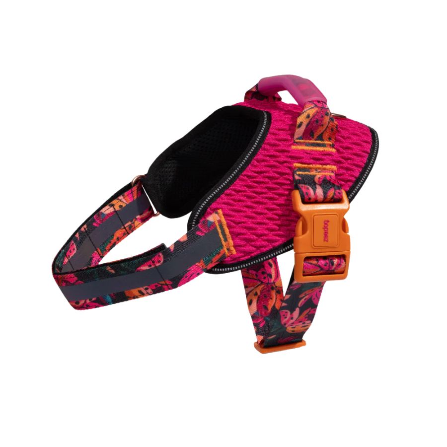 Selva flyharness para perros, , large image number null