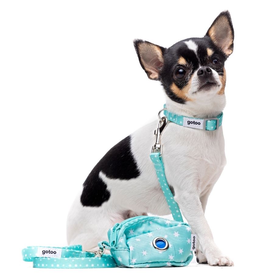 Porta bolsas con dise&ntilde;o de estrellas, , large image number null