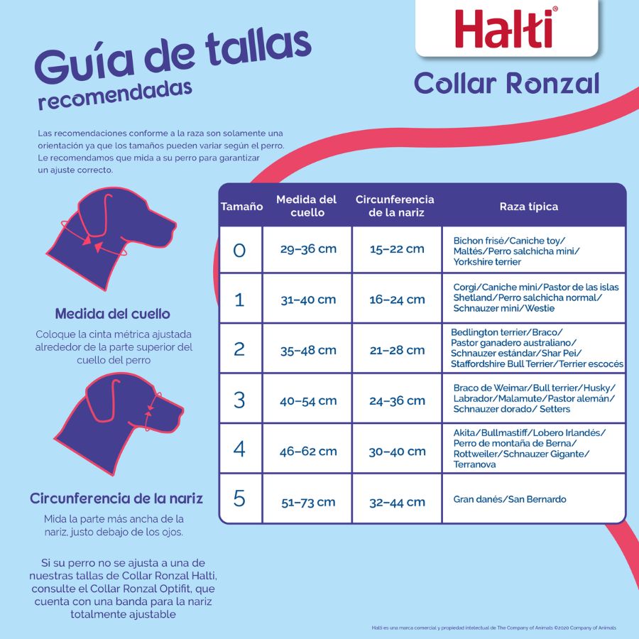 Cabezal de adiestramiento Halti negra, , large image number null