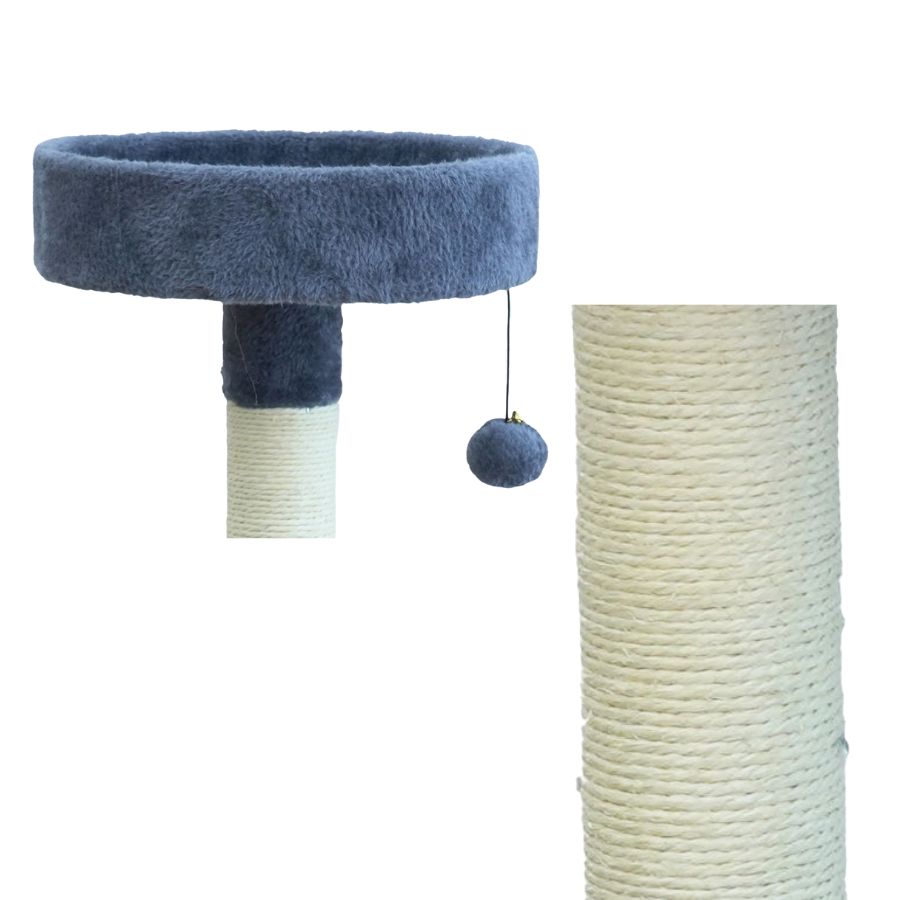 Marcelo gimnasio doble plataforma, , large image number null