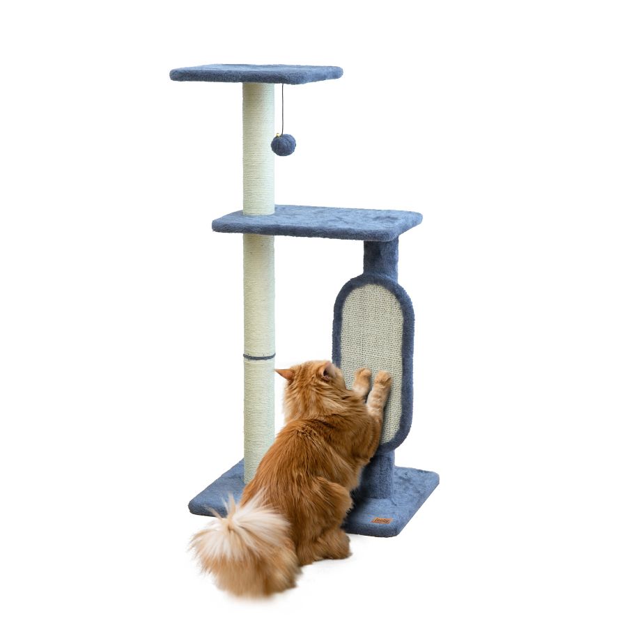 Voltaire gimnasio rascar y jugar, , large image number null