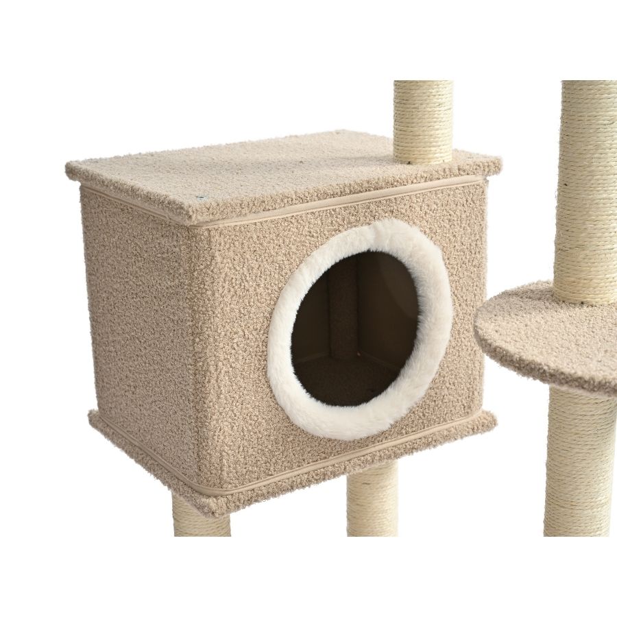 Boucle gimnasiomulti plataforma s, , large image number null