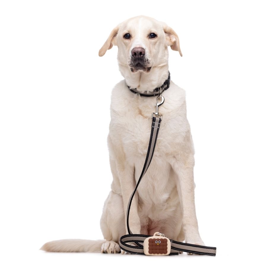 Porta bolsas de silicona caf&eacute;, , large image number null