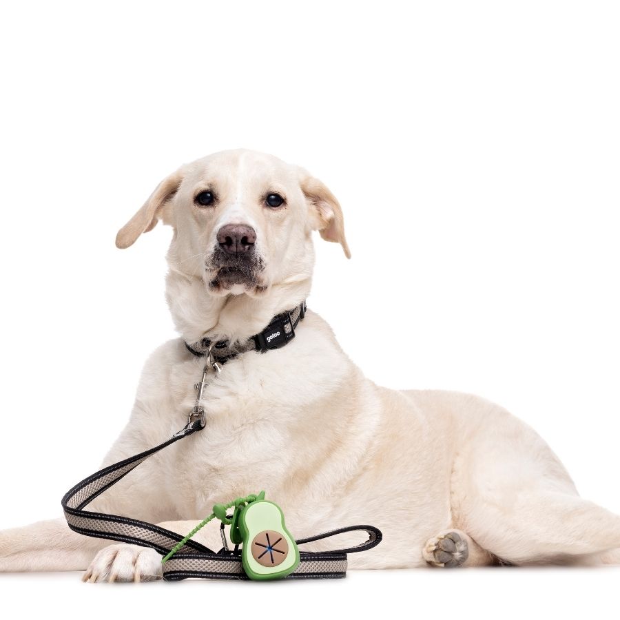 Porta bolsas de silicona con forma de palta