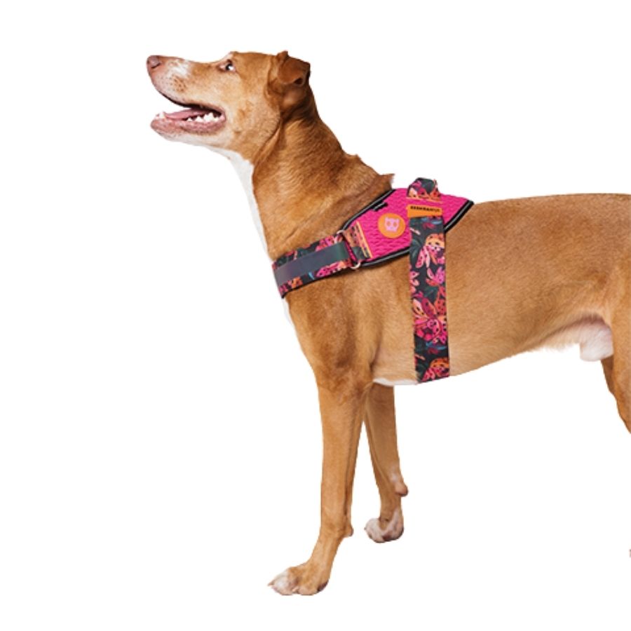Selva flyharness para perros, , large image number null