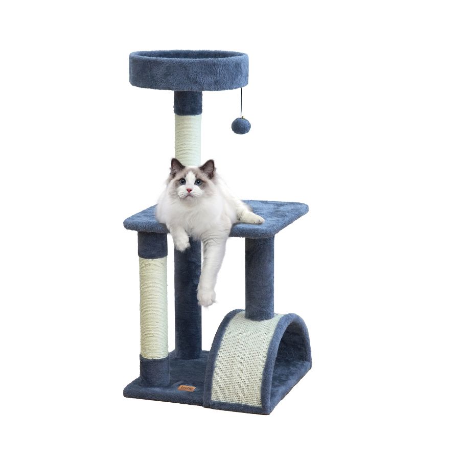 Marcelo gimnasio doble plataforma