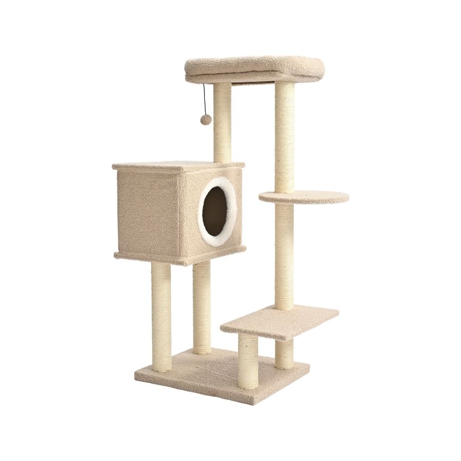 Boucle gimnasiomulti plataforma s