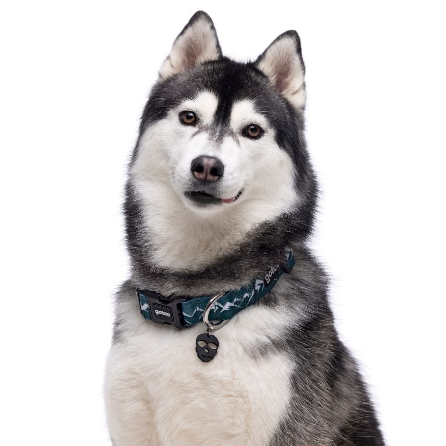 Collar con estampado de monta&ntilde;as para perros