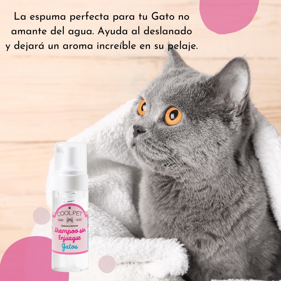 Shampoo sin enjuague para gato, , large image number null