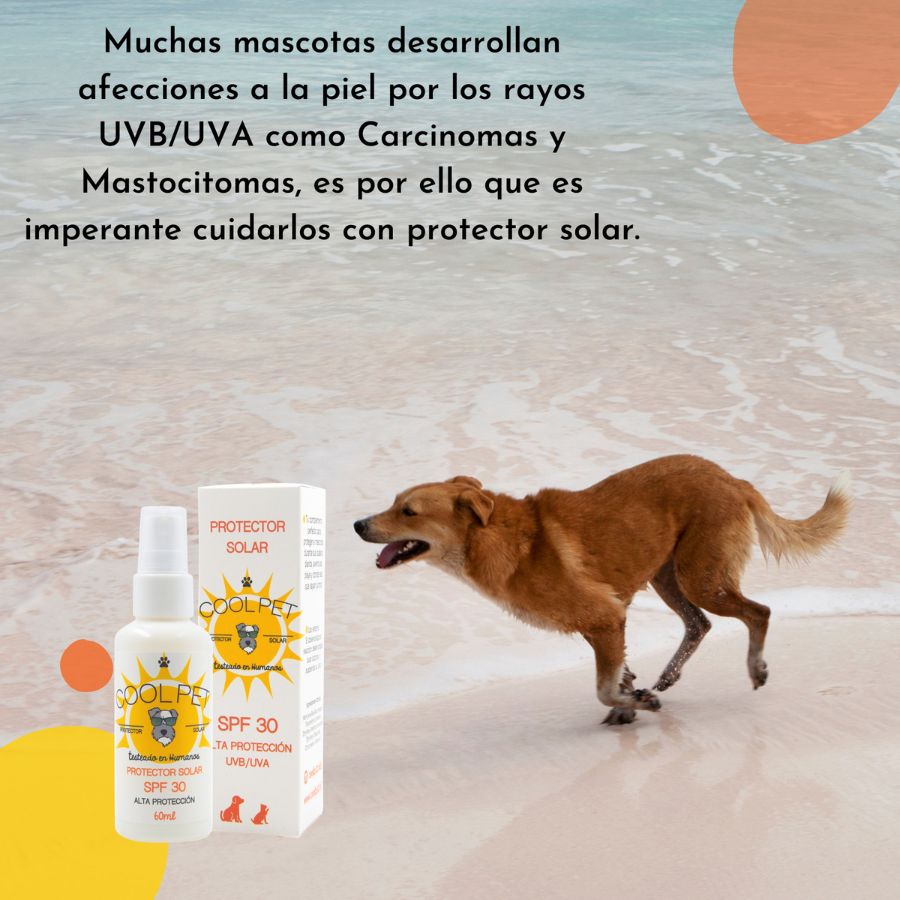 Coolpet protector solar unidad, , large image number null