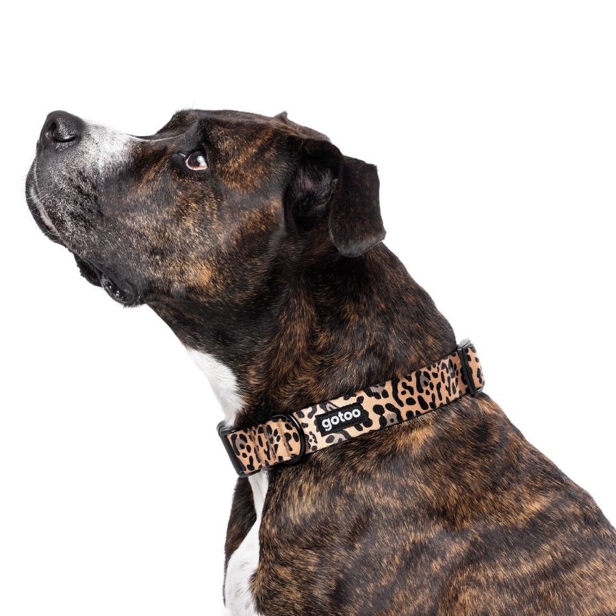 Collar con estampado de leopardo para perros
