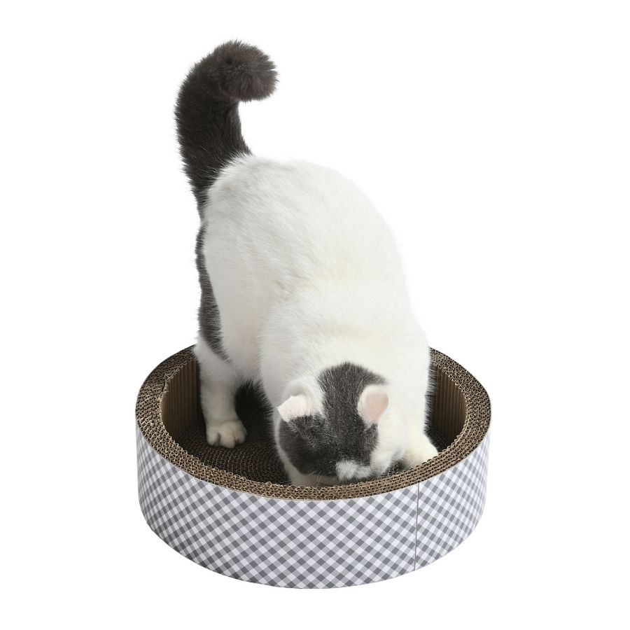 Domingo tambor rascador de cart&oacute;n botanico, , large image number null