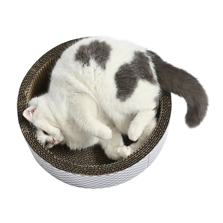 Domingo tambor rascador de cart&oacute;n botanico, , large image number null