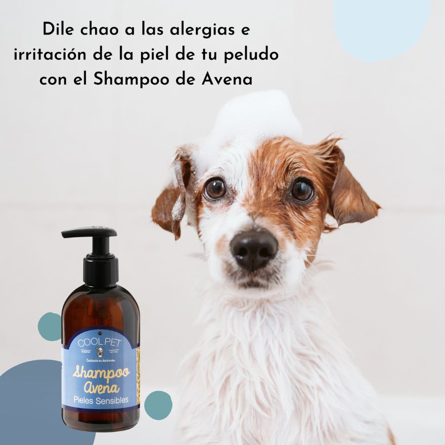 Shampoo de avena para pieles sensibles, , large image number null