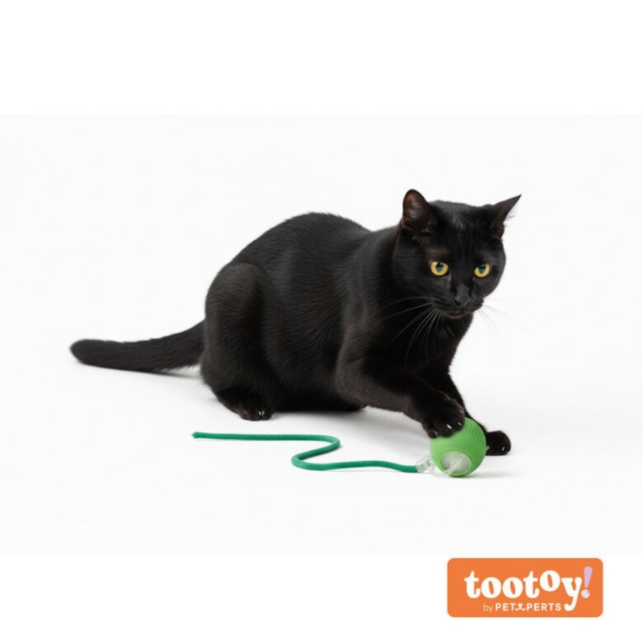 Tootoy! juguete pelota trenzada para gato, , large image number null