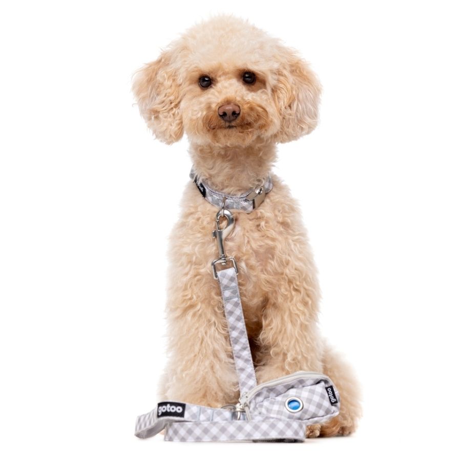 Correa Trendy Vichy con anilla portabolsas para perros