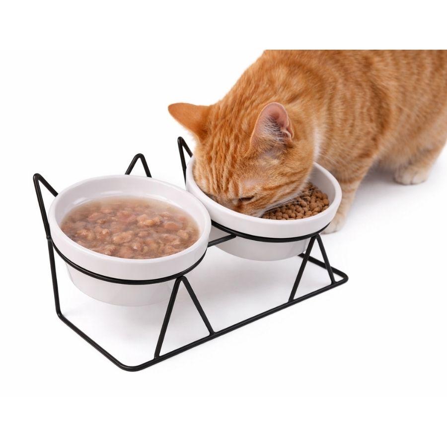Leeby plato doble para gatos de ceramica forma gato 250ML, , large image number null