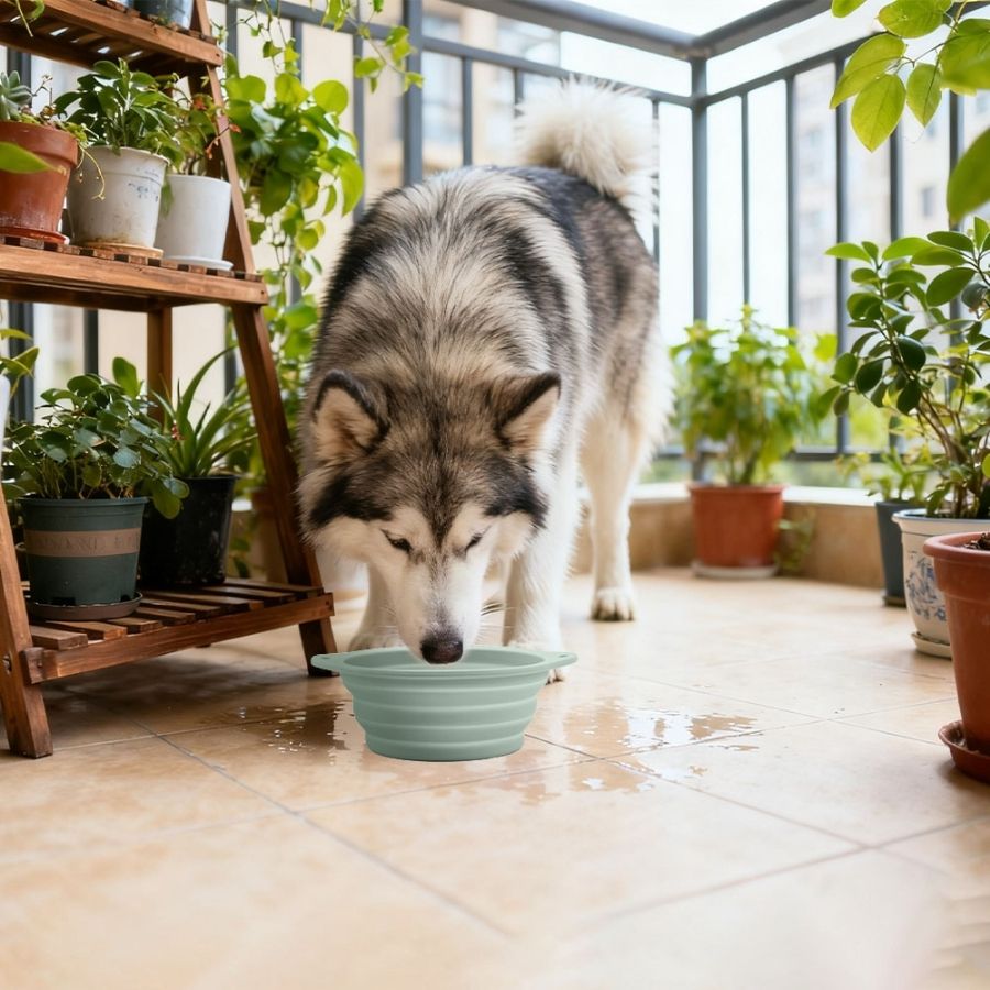 Gotoo plato plegable de silicona para perros 800ML color verde, , large image number null