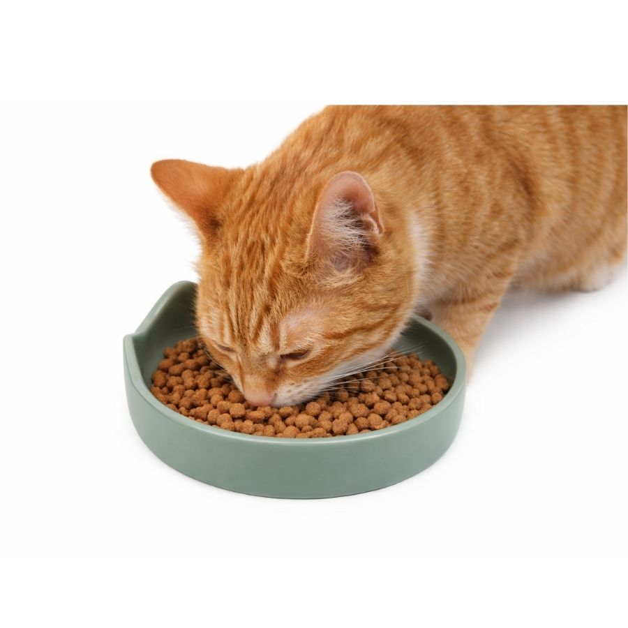 Leeby plato de ceramica para gatos, , large image number null