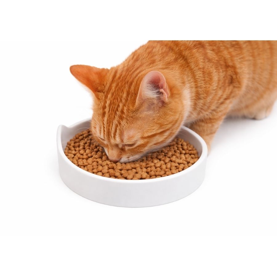 Leeby plato de ceramica para gatos, , large image number null
