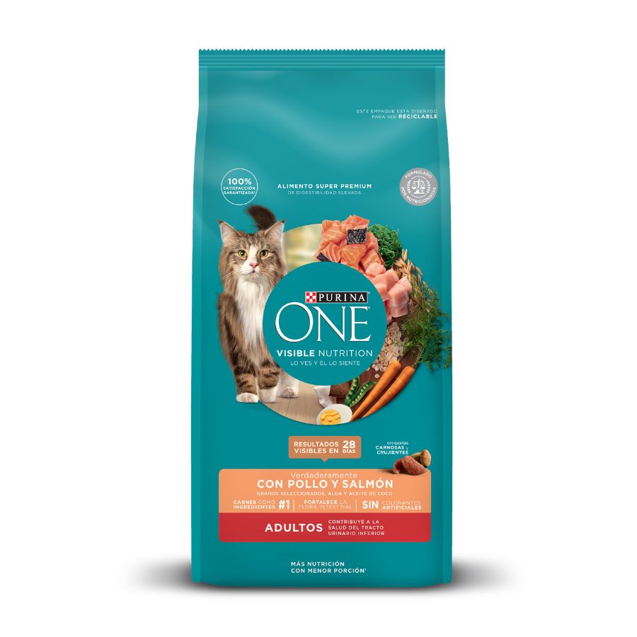 Alimento seco para gatos PURINA&reg; ONE&reg; Adultos sabor pollo y salm&oacute;n