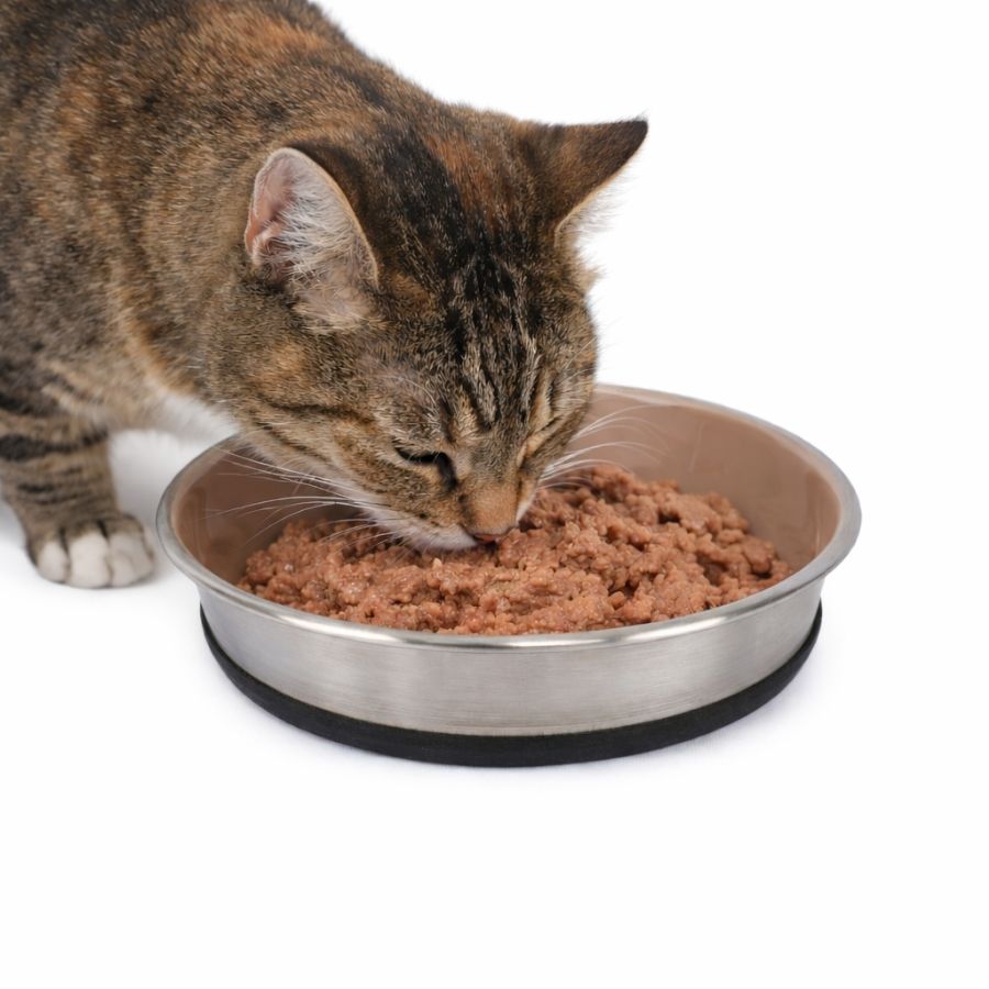 Leeby plato de ceramica para gatos 480ml negro, , large image number null