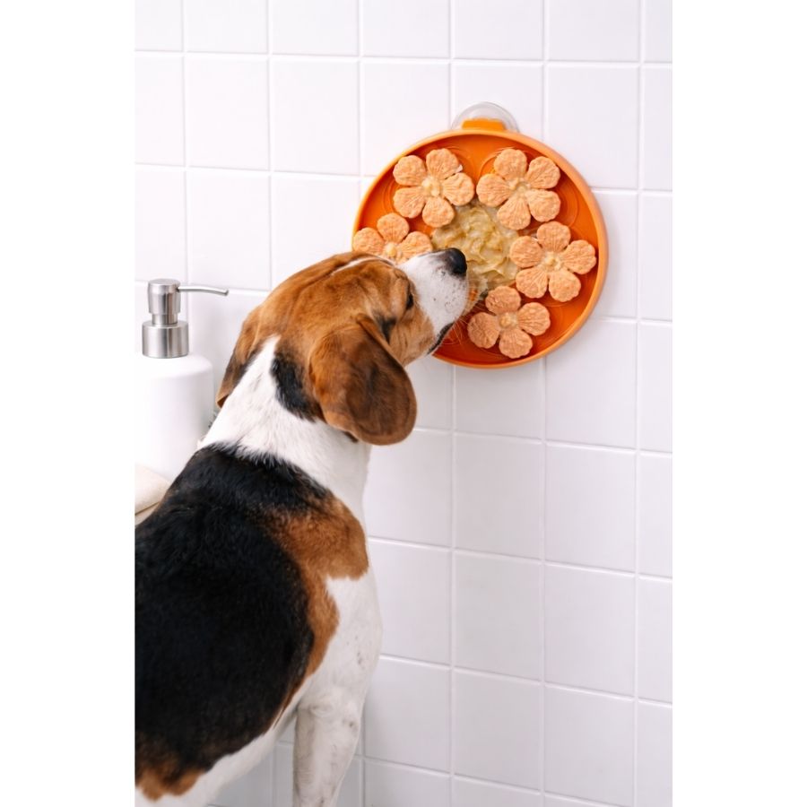 Leeby plato interactivo para mascotas color naranjo con dise&ntilde;o de flores, , large image number null