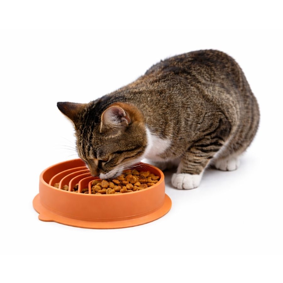 Leeby plato interactivo para mascotas comedero lento, , large image number null