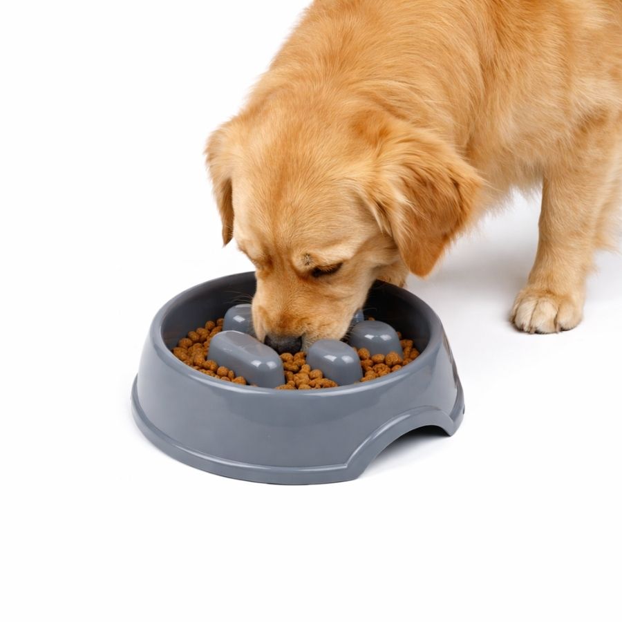 Leeby plato anti-ahogo para perros color gris, , large image number null